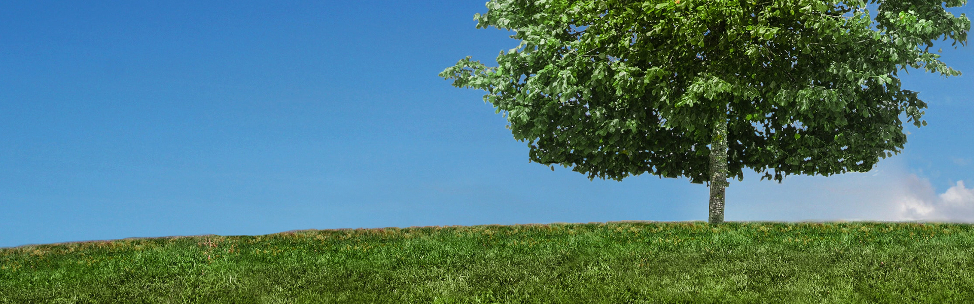 900900藏宝阁综合资料