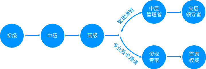 900900藏宝阁综合资料