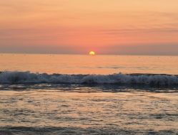 900900藏宝阁综合资料