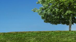 900900藏宝阁综合资料