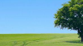 900900藏宝阁综合资料